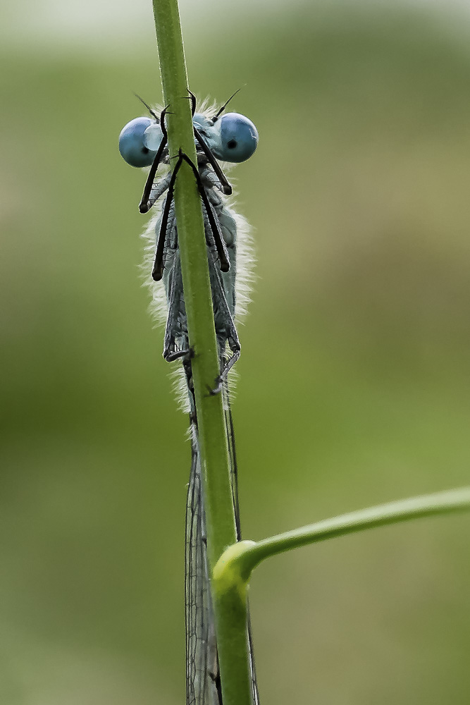 4. Platz Jürgen Feldmann